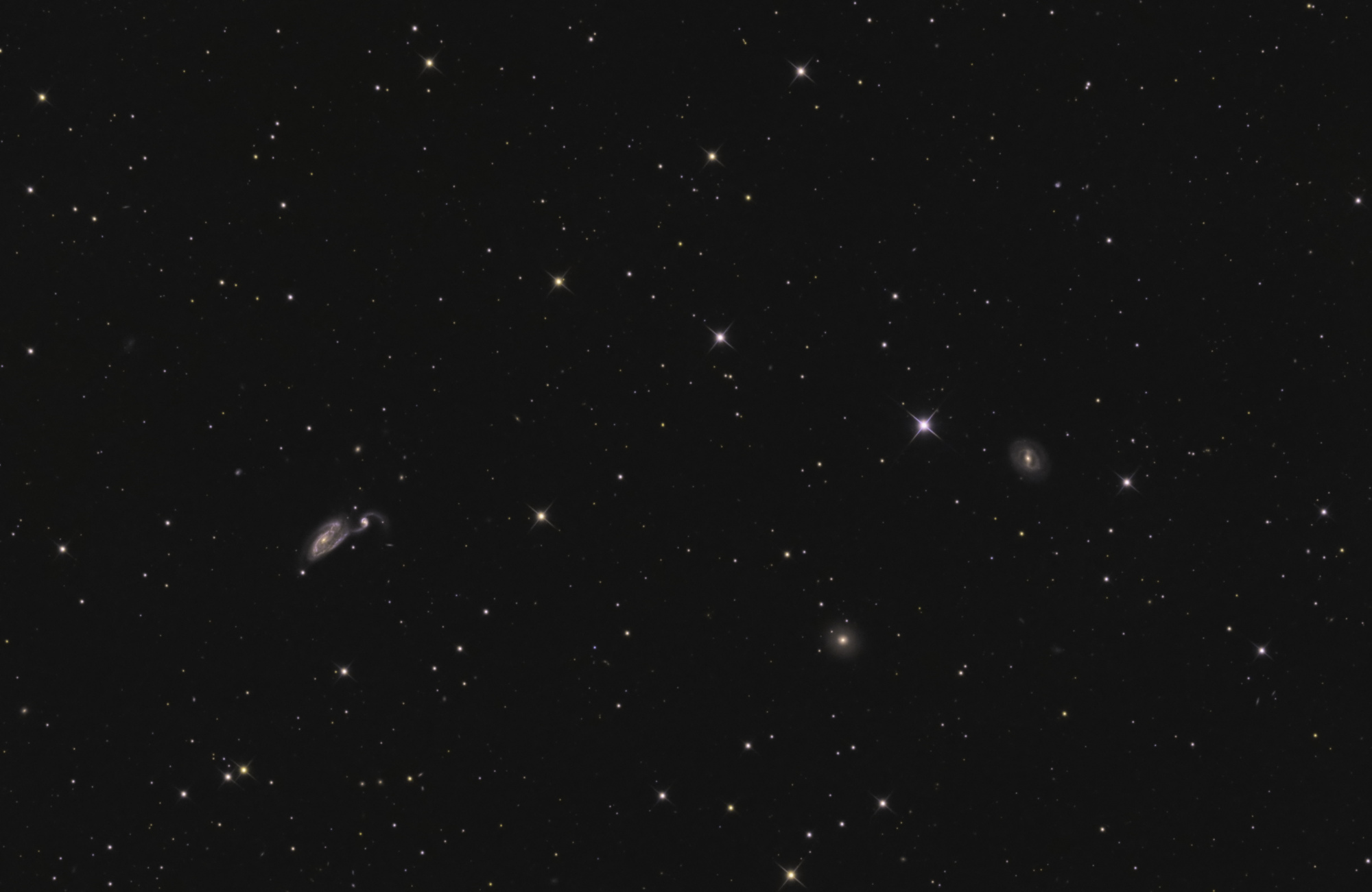 galax_heron.thumb.jpg.812d51ee4fabf991000a6c84805db4c5.jpg