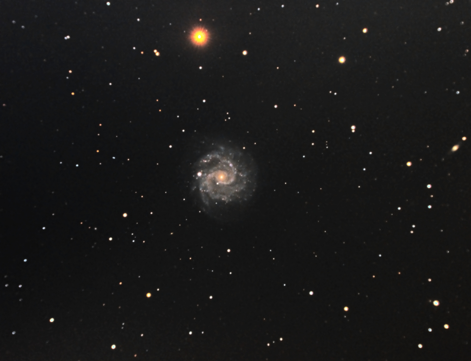 627aaf862fb85_NGC3184-V2_RGB-sirilbase-asinh-histo-pix-auto-PSAPFRfinale.thumb.jpg.4b6173a04f8f6e9cc54d64c946cc2d65.jpg