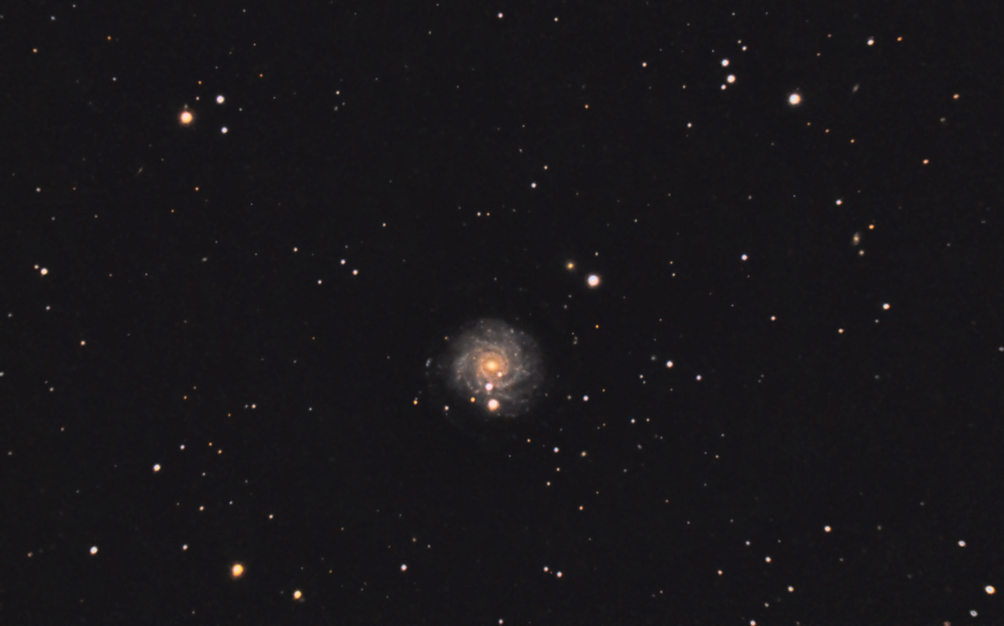 628d1fa41faa2_NGC3344_RGB-C8-sirilpixPSfinale.thumb.jpg.2ab754df301e8a83d723262e33f29de1.jpg