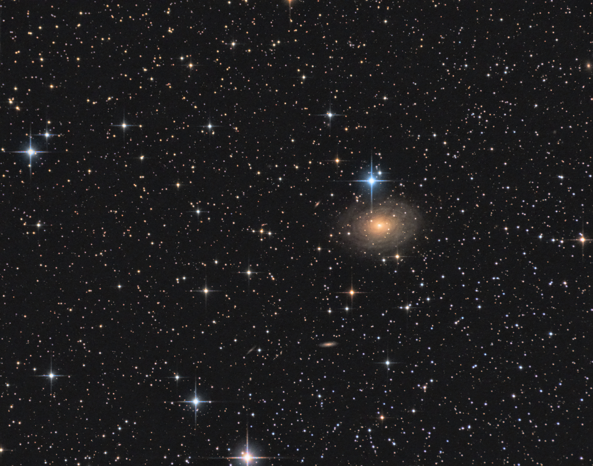 IC356V2.jpg