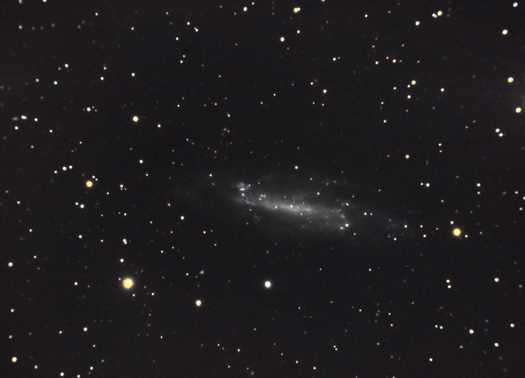 NGC4236_C8_RGB_siril_Pix-PS-finale.thumb.jpg.b4cb2a186aed3dbd29e97463ea2fe7c4.jpg
