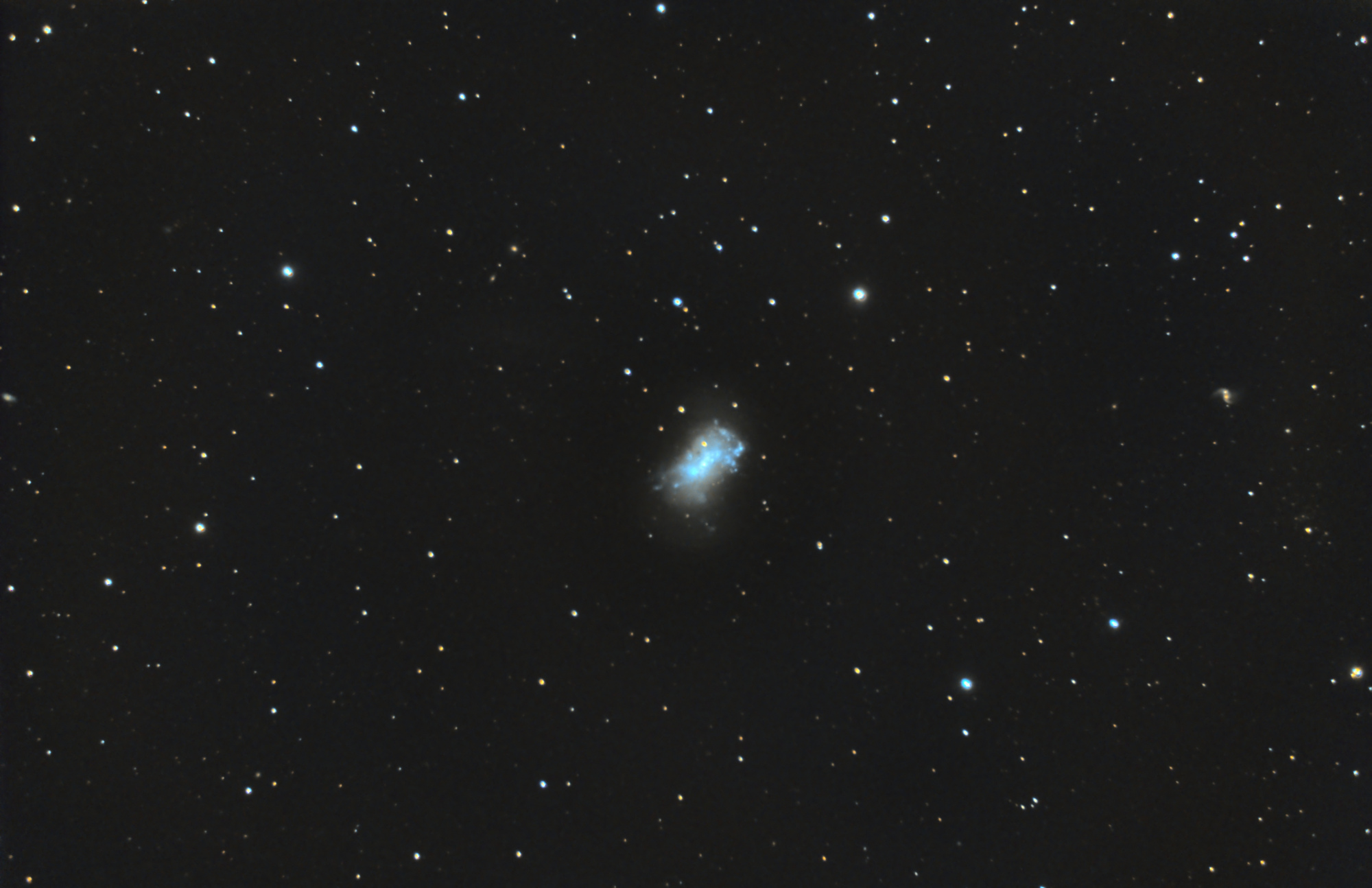 NGC4449_RGB-siril-histo-base-pix-auto-finale.thumb.jpg.916272d17172c8a0005f3683c52b73c5.jpg