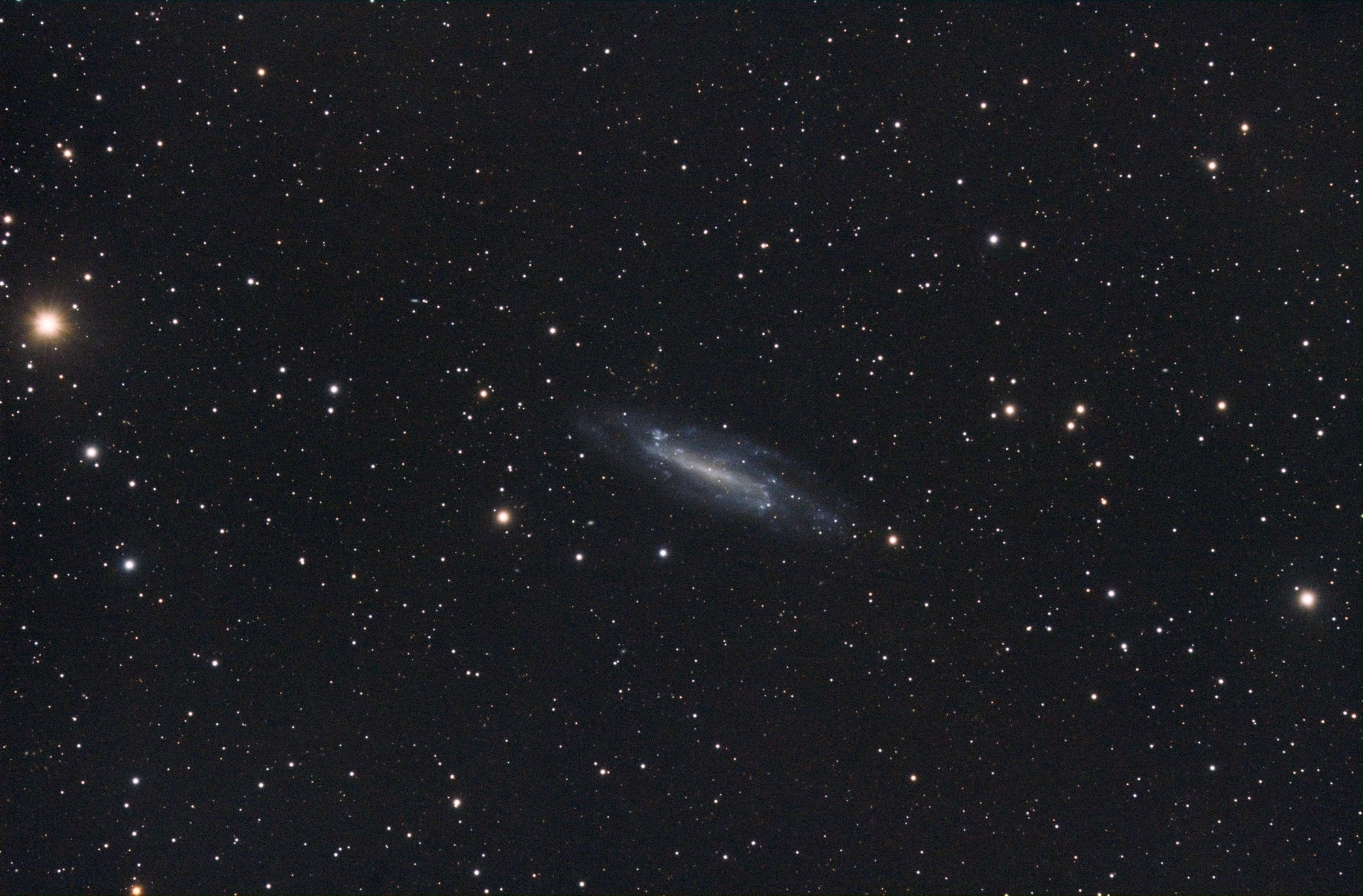 NGC_4236_SIRIL-1-iris-cs5-4-FINAL-2-x.jpg