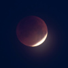 la lune éclipsée le 16/05/2022 (A73 972)