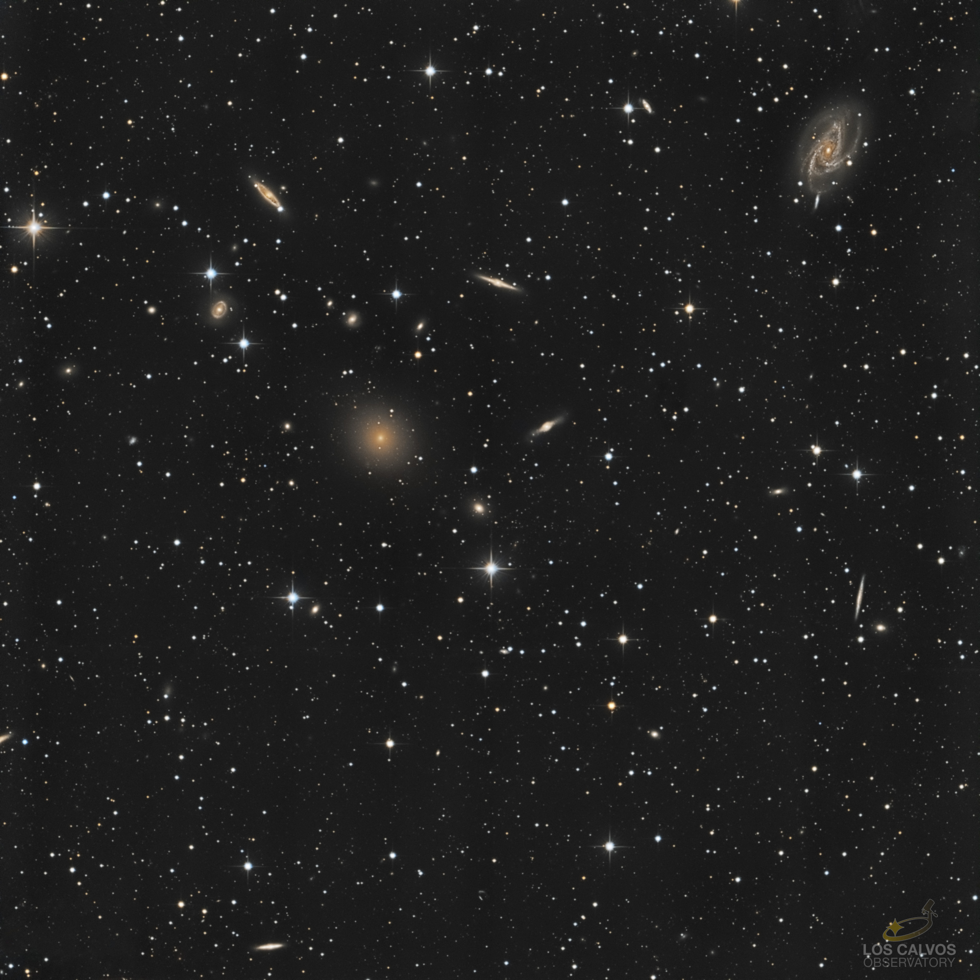 NGC-5054_LRVBv2_PSv2_roundstars_FdC copieLOGO.jpg