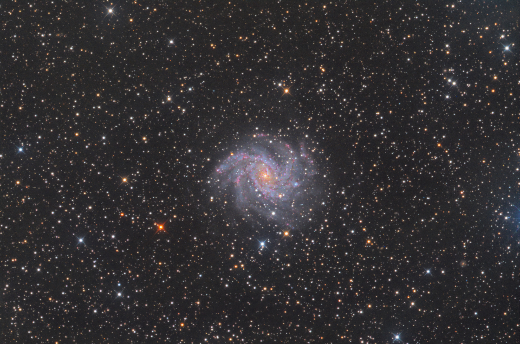 NGC6946_Newthom_TBexant_2021.thumb.jpg.6fd8d2611baa5e0b3eef2d445adb2a38.jpg
