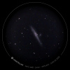 Ciel profond 2022-06-01_eVscope_NGC4631.jpg