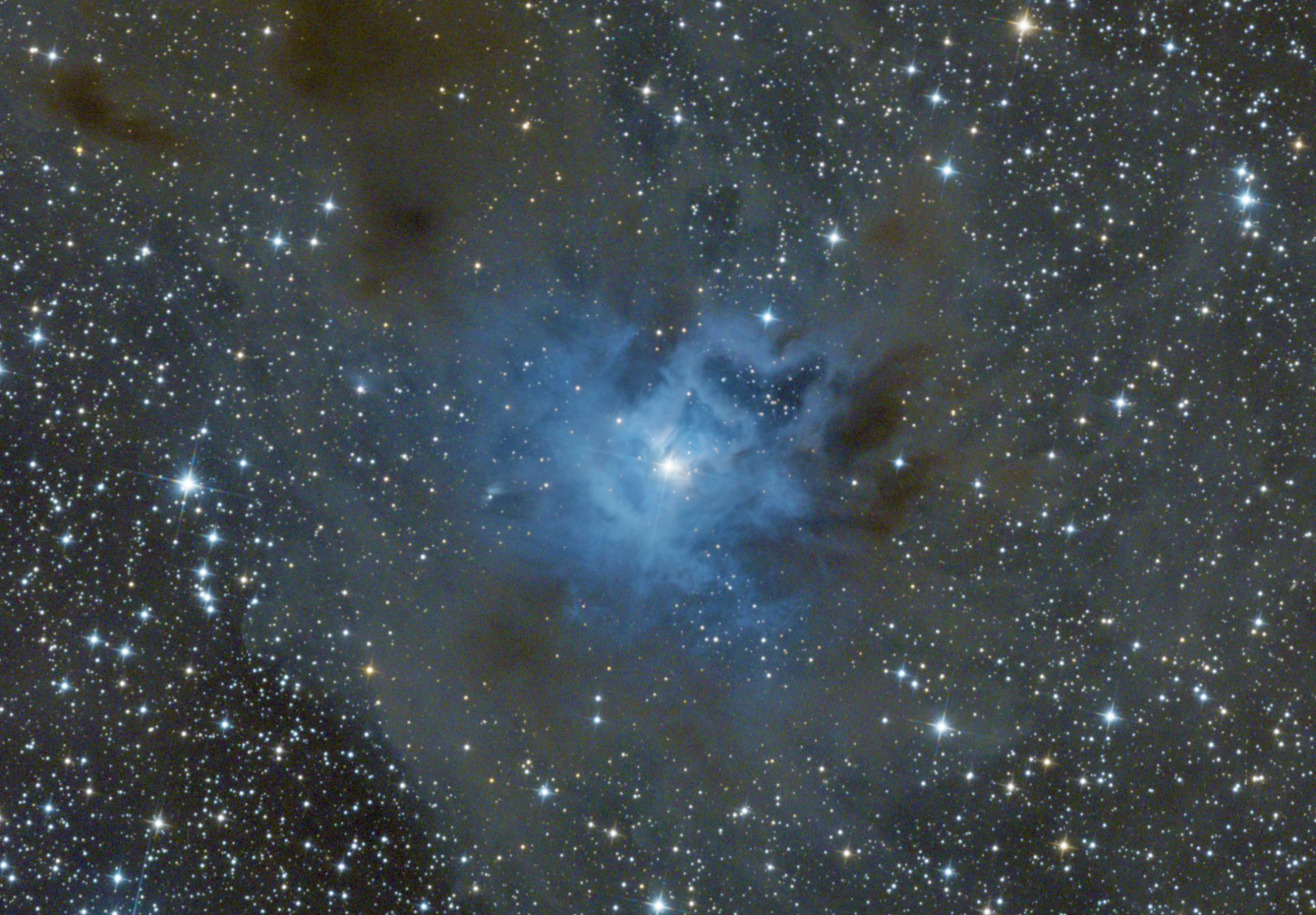 62c3336dc9351_NGC7023E130crop.thumb.jpg.a5237fc0b4abfdb03d05b7b67a8f6a43.jpg
