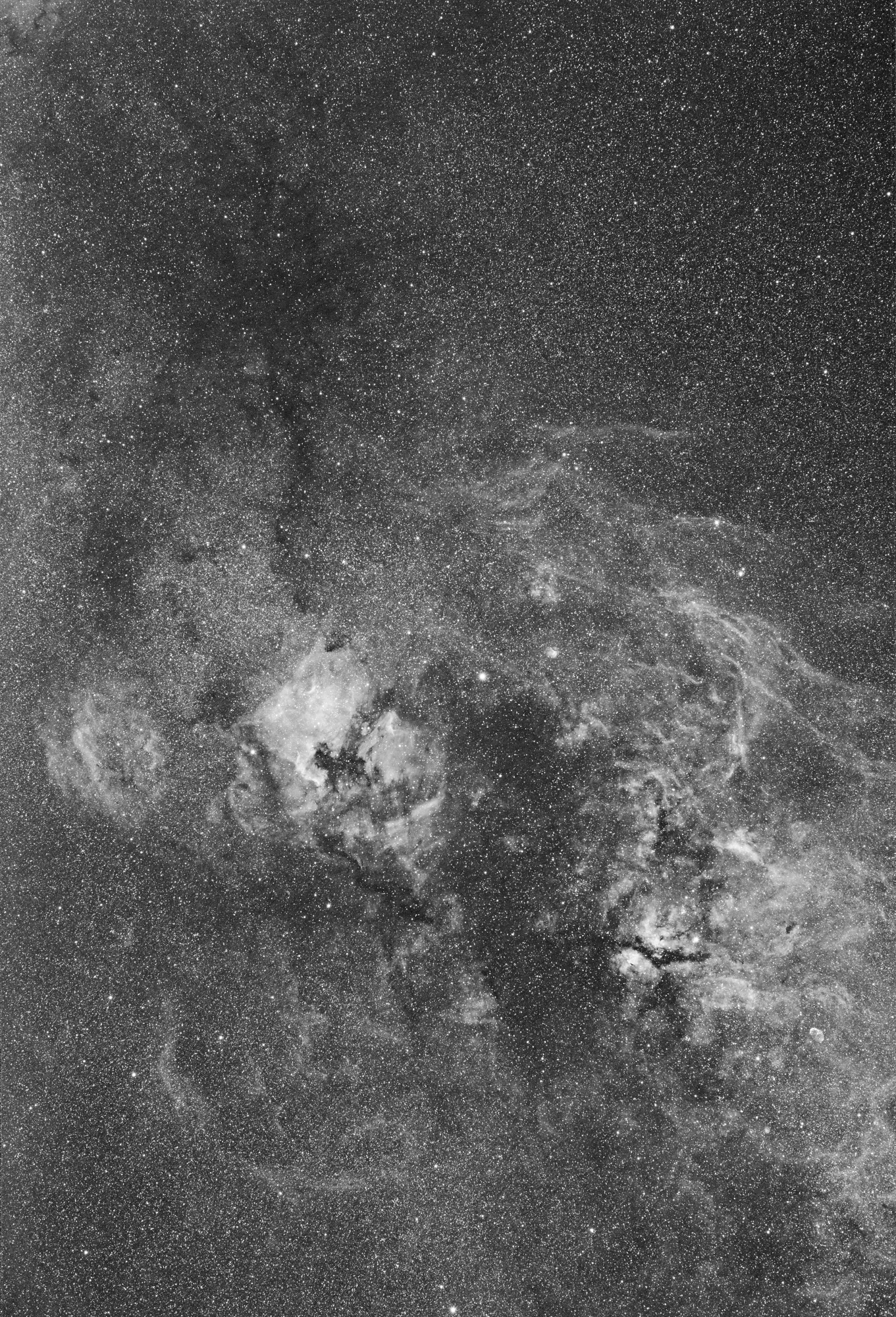 NGC 7000 85 mm BD.jpg