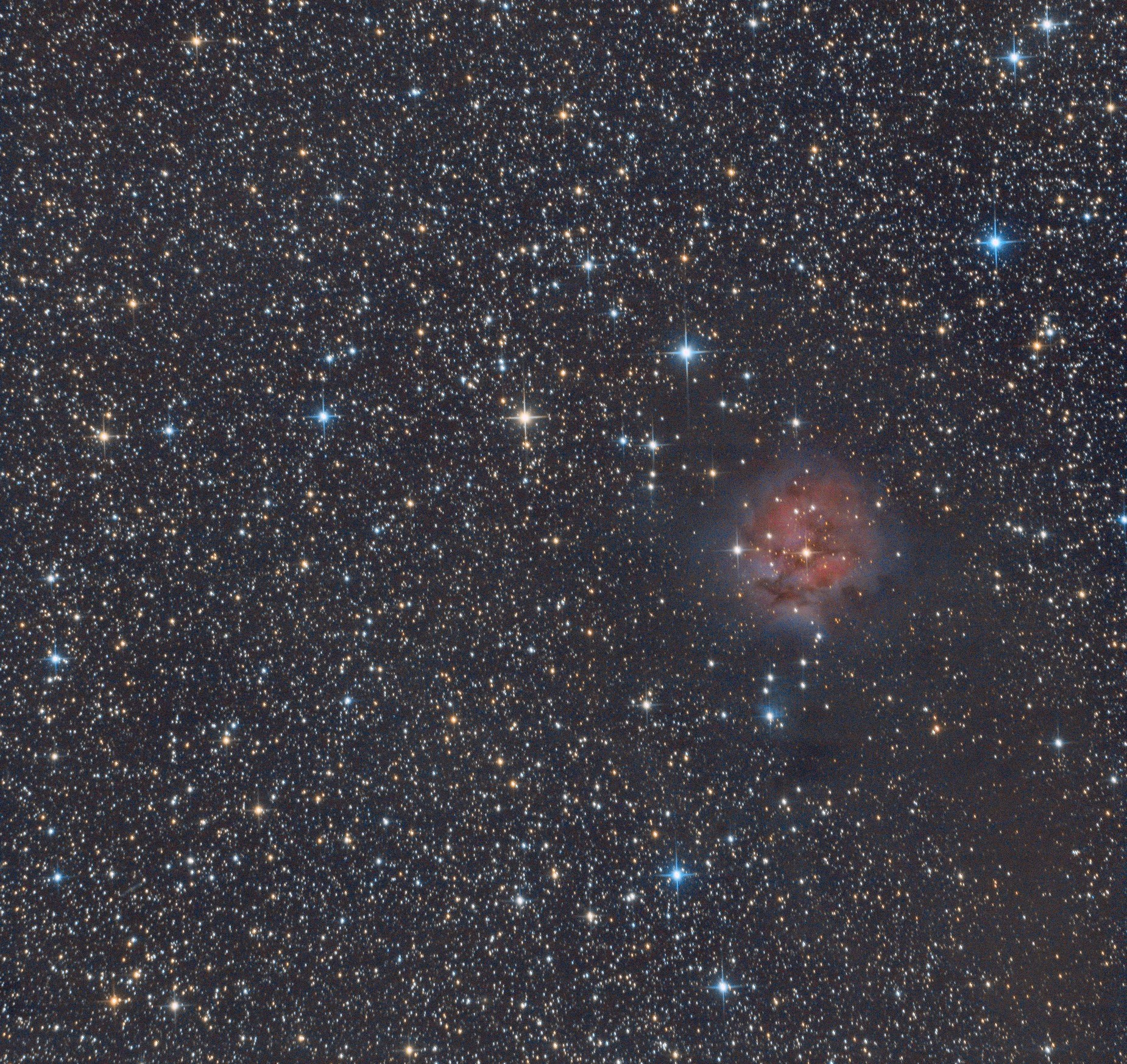 IC 5146 le Cocon ps-2.jpg