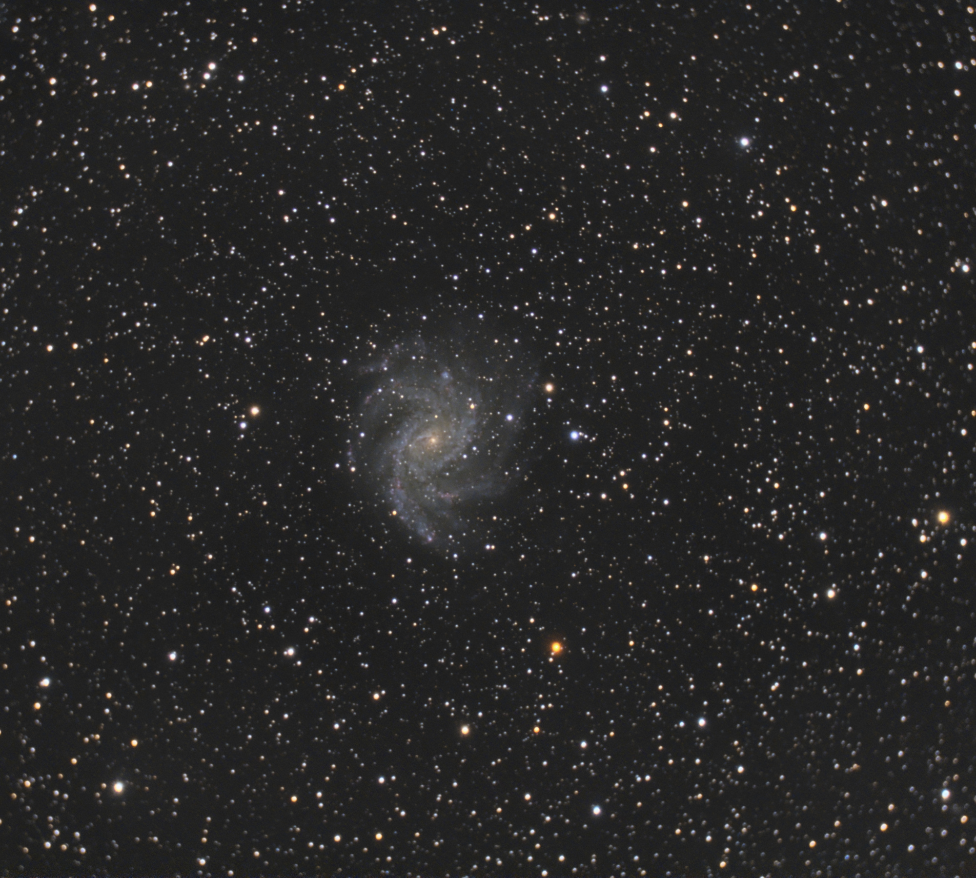 NGC6946-C8_RGB-siril-PS-finale.thumb.jpg.64861e40b8392f5c5e891f3534319971.jpg