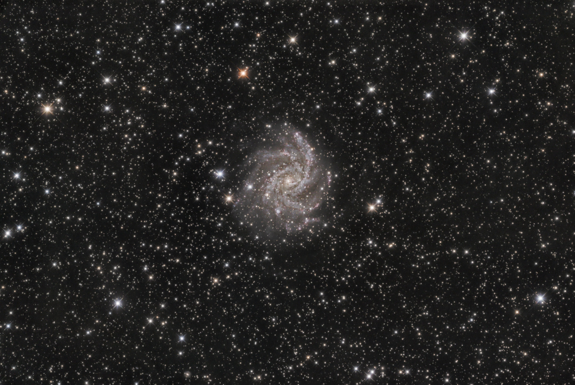 NGC6946_6juillet2022_75L_25RVB.thumb.jpg.ea2a0d67238a2b98d5e37a7b7237ef4f.jpg