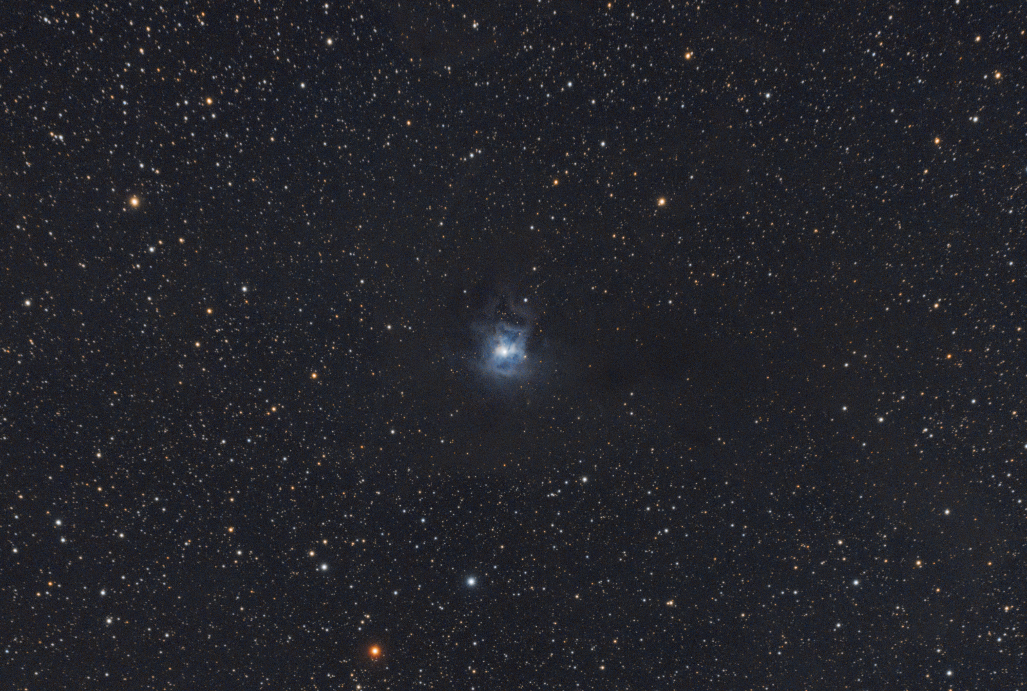 NGC7023.thumb.png.13a3d2f61aaa998e5a12b4d89d228934.png