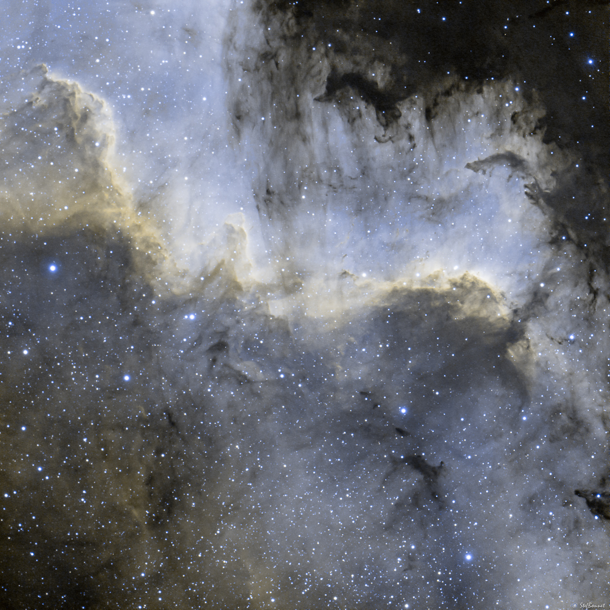 62fca7f147e46_NGC7000IsthmeAmriqueduNord-Web.jpg.975c1f8f0353c2c246d6f47e96a420ef.jpg