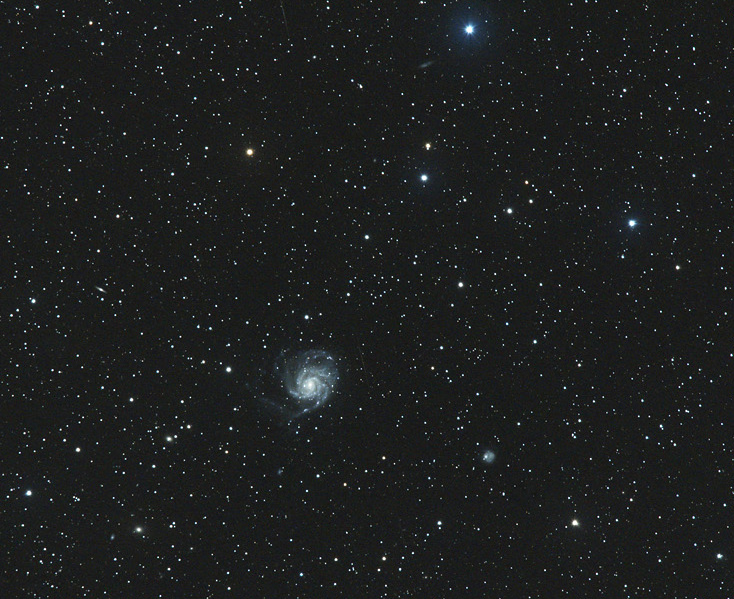 M101-20190406-ASr1.jpg.08ddfcee5bd2787b9735e88b5b55d774.jpg