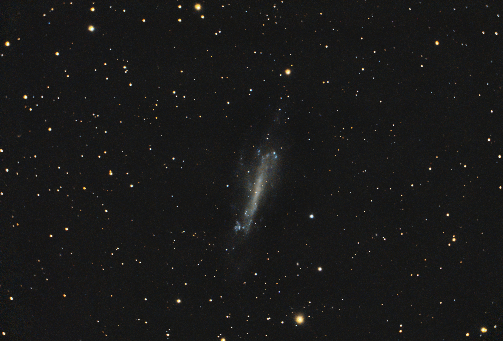 NGC4236-C8_RGB-siril-PS-V2.thumb.jpg.0b9b653fdca5043b7452bad26f0b8b5d.jpg