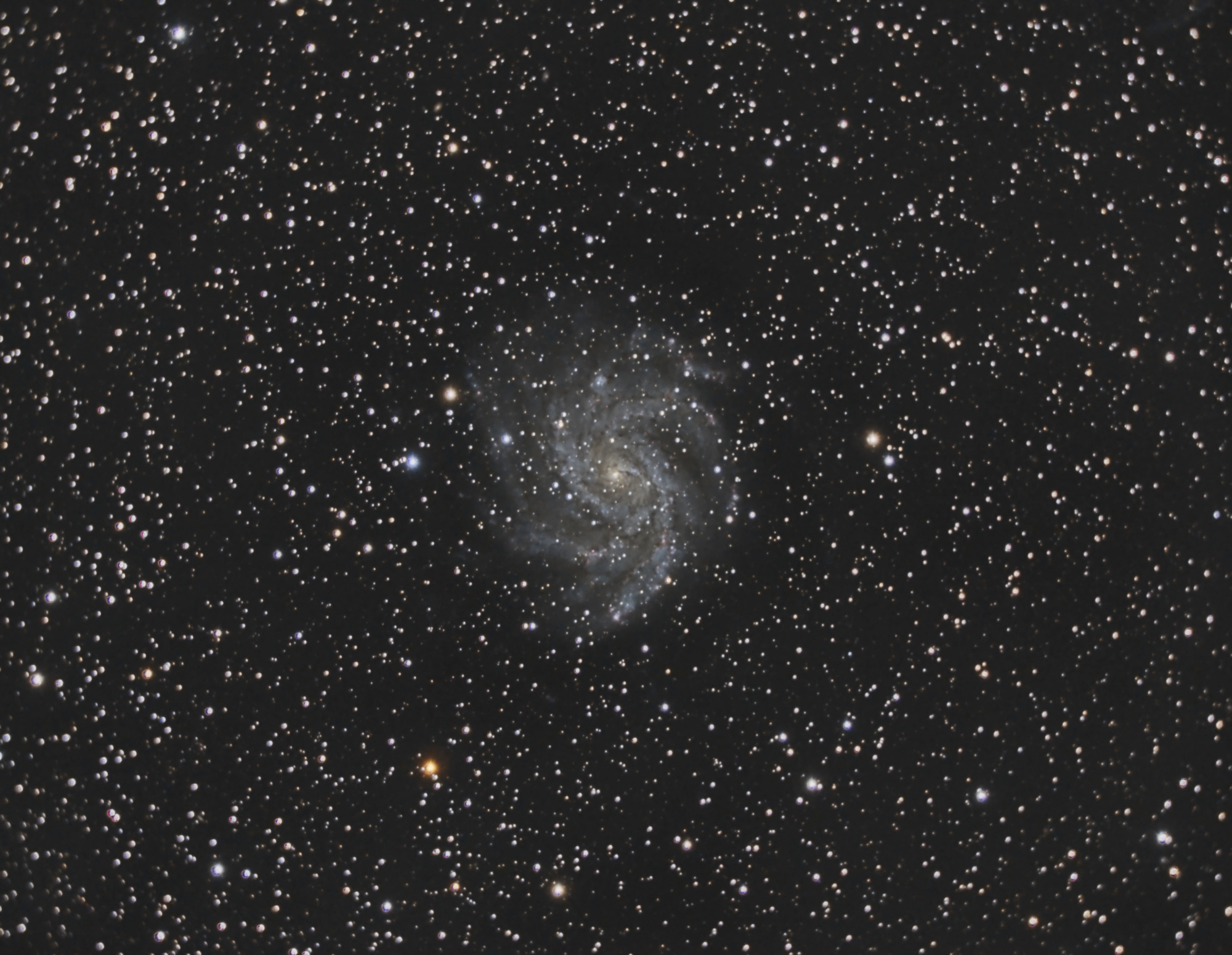 NGC6946-Meade_RGB-siril-gradient-photom-scnr-Pix-MLT-MS-ACDNR-autoscript.thumb.jpg.8b465116c08a923e790e90af10752b7c.jpg