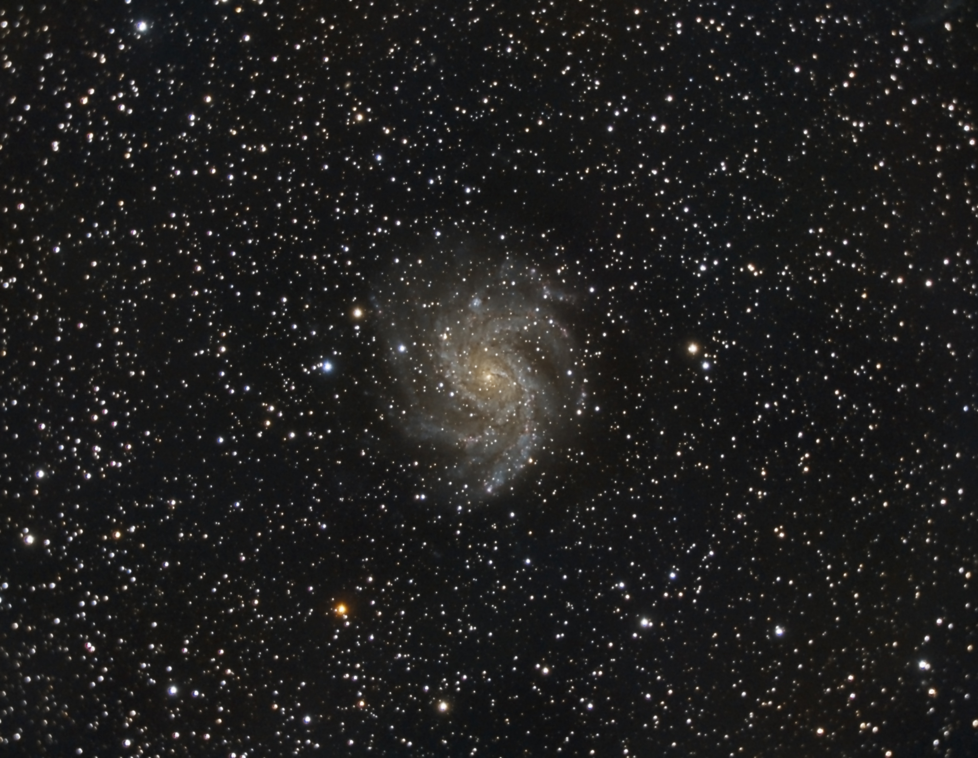 NGC6946_Meade_RGB_siril_gradient_photom_scnr_Pix_MLT_MS_ACDNR_edit_undo1.thumb.jpg.807184080719aaa3c6f030a9d69dfc18.jpg