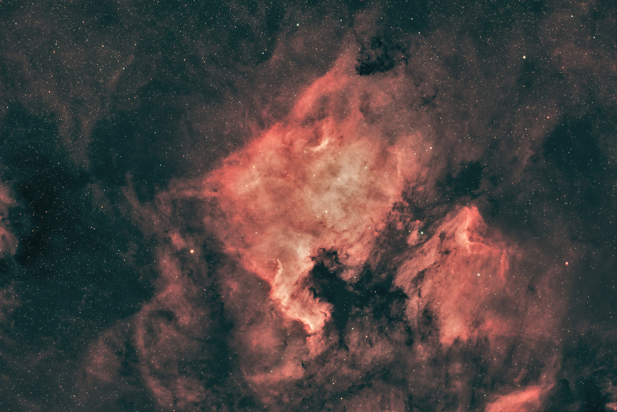 NGC7000_et_le_pelican_HRVB_copie_2.jpg