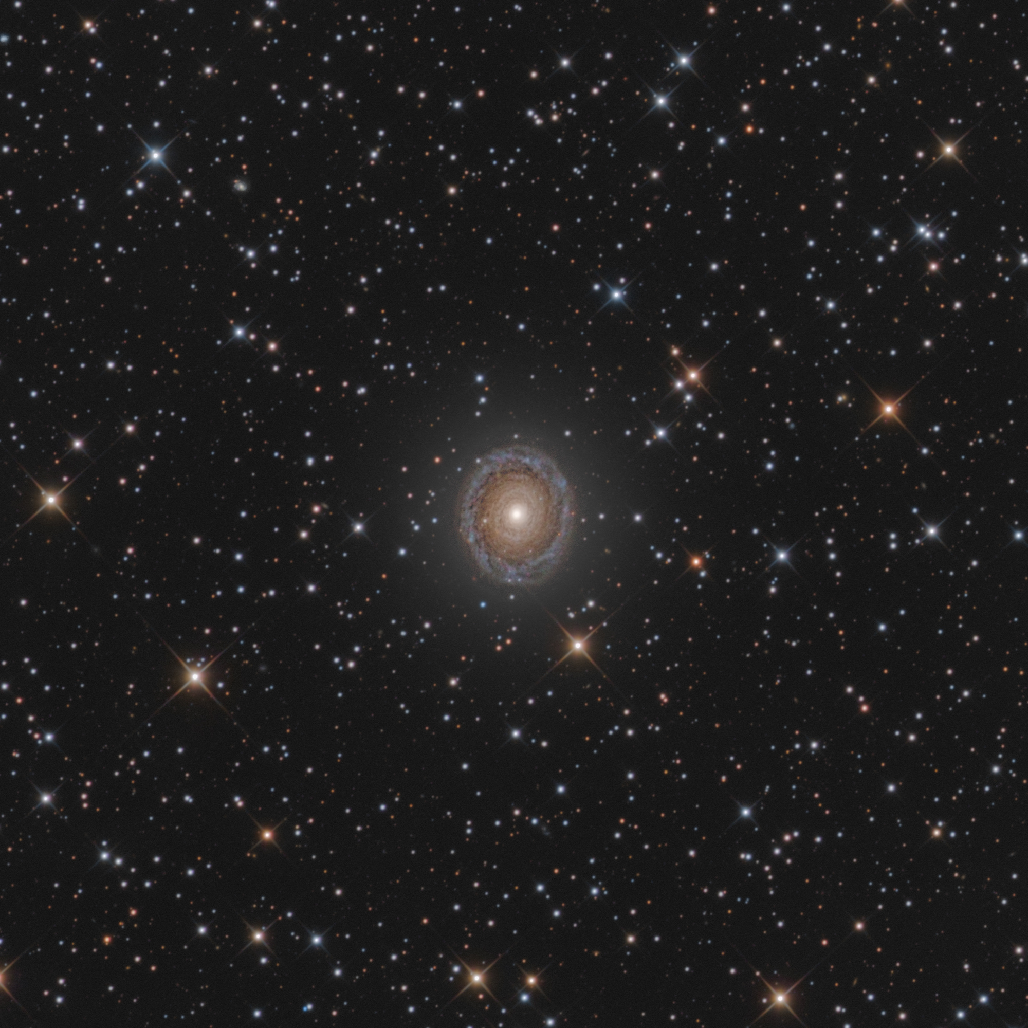NGC7217-2.jpg.747a5be53ffe2367142c71e3116238ea.jpg