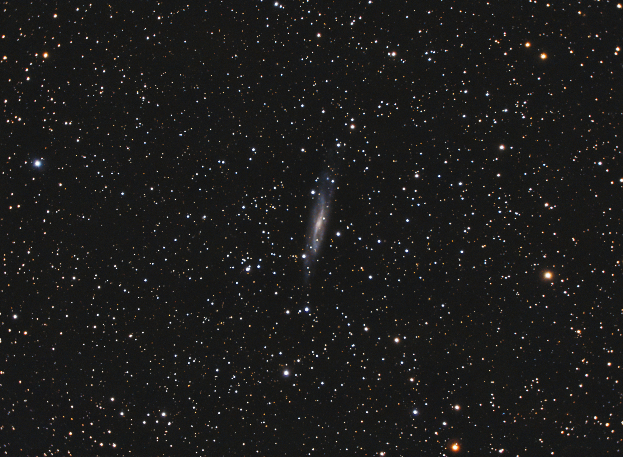NGC7640-C8_RGB-siril-PS-finale.thumb.jpg.655c9900fa077093d545c82204b32100.jpg