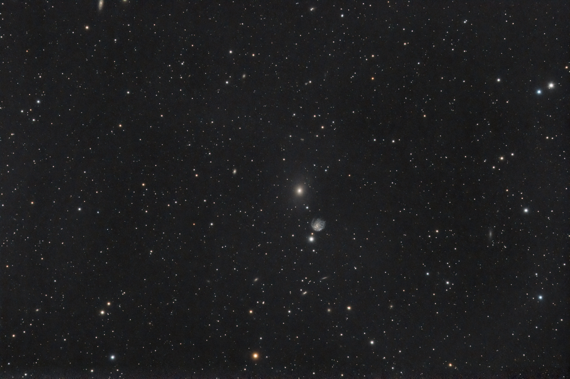 NGC_2300_SIRIL-iris-cs5-4-FINAL-3.jpg