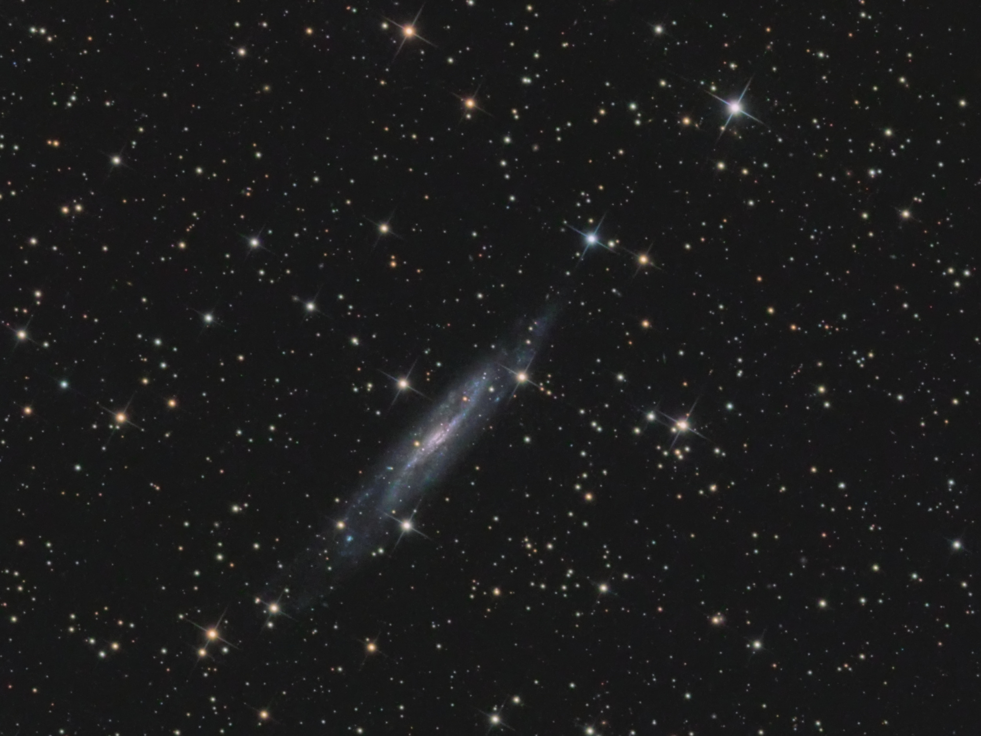 galaxie_NGC7640_crop.thumb.jpg.68754c2cc4aaff339a26c41f6492d32c.jpg