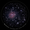 Ciel profond 2022-08_06 - eVscope_NEB_IC5146.jpg