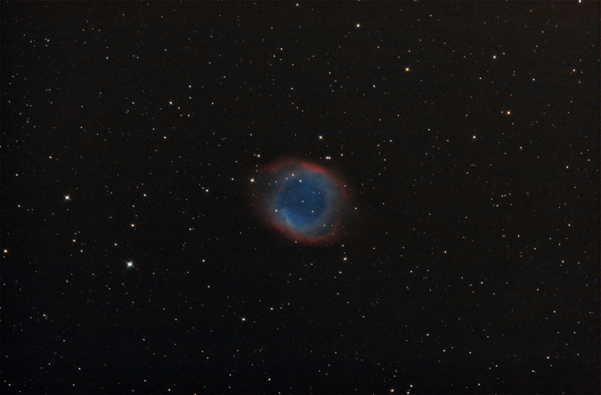 NGC7293 traitée SIRIL BMP recadrée pour Roundstarso x=5 y=6 + cosmétique GIMP50% et W10.jpg