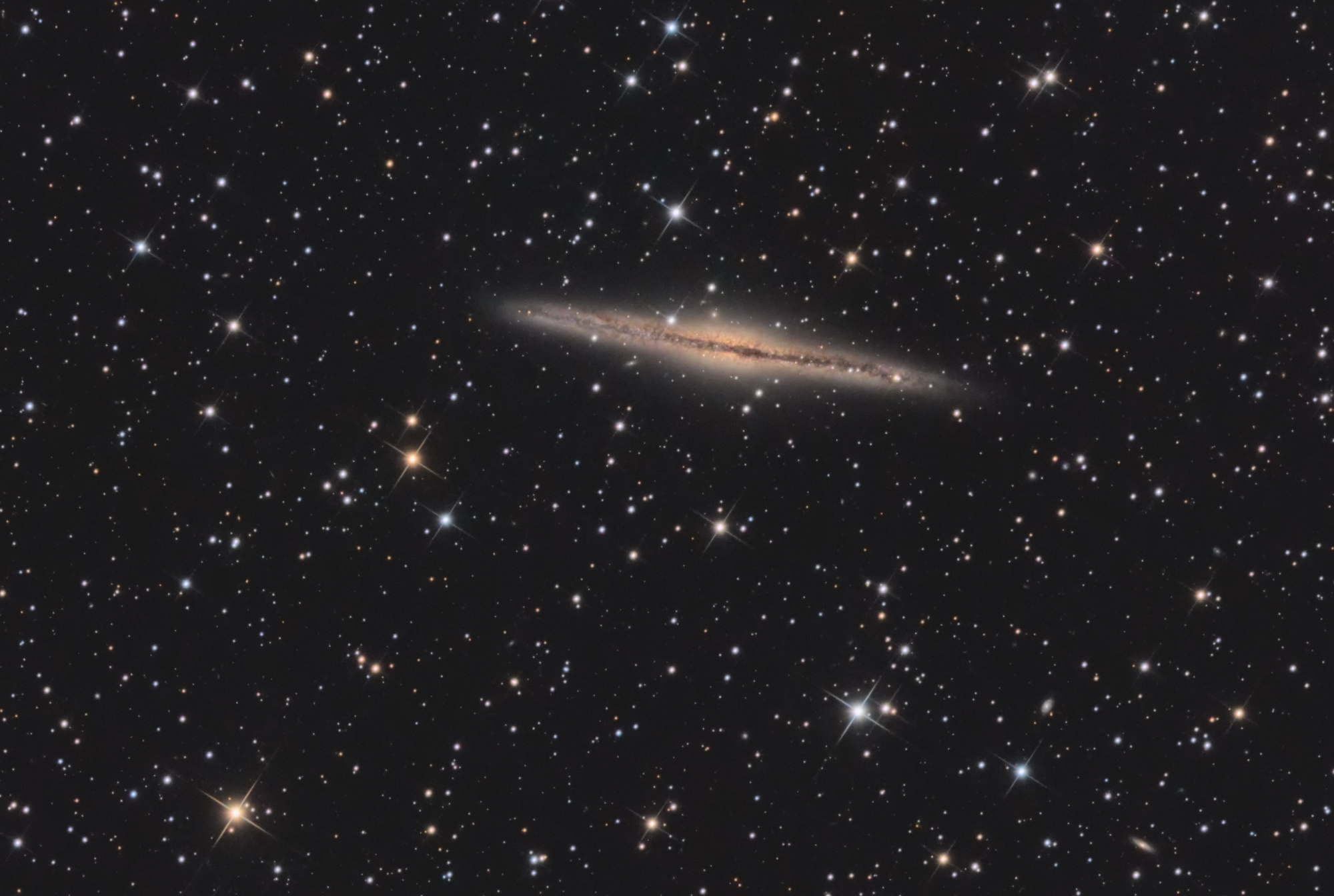 Galaxie_NGC891_finale_crop.thumb.jpg.9017d72d049ecd72feeb97c0e559bfc1.jpg