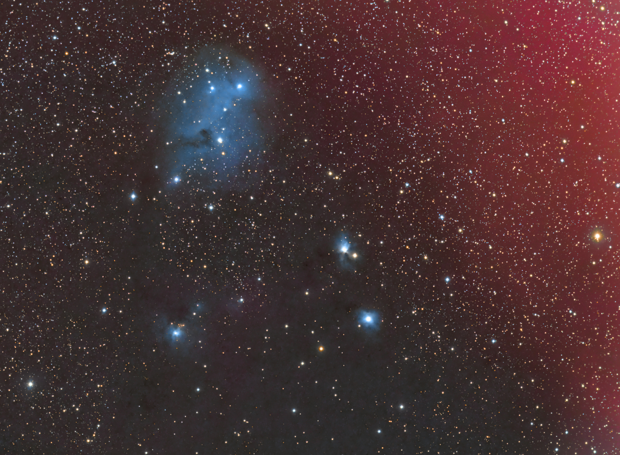 IC2169V2.jpg