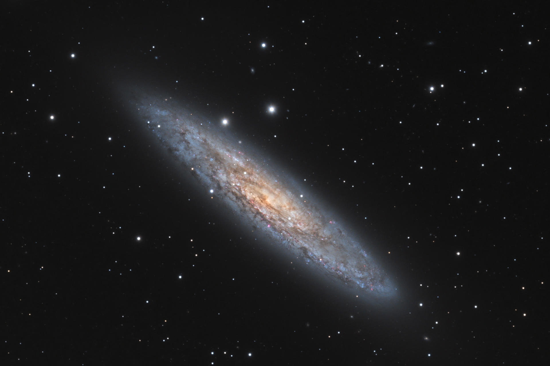 NGC253LRVB_1920-v.jpg.1f5b9a1d1a77b7b8d9ca1facebf83bfe.jpg
