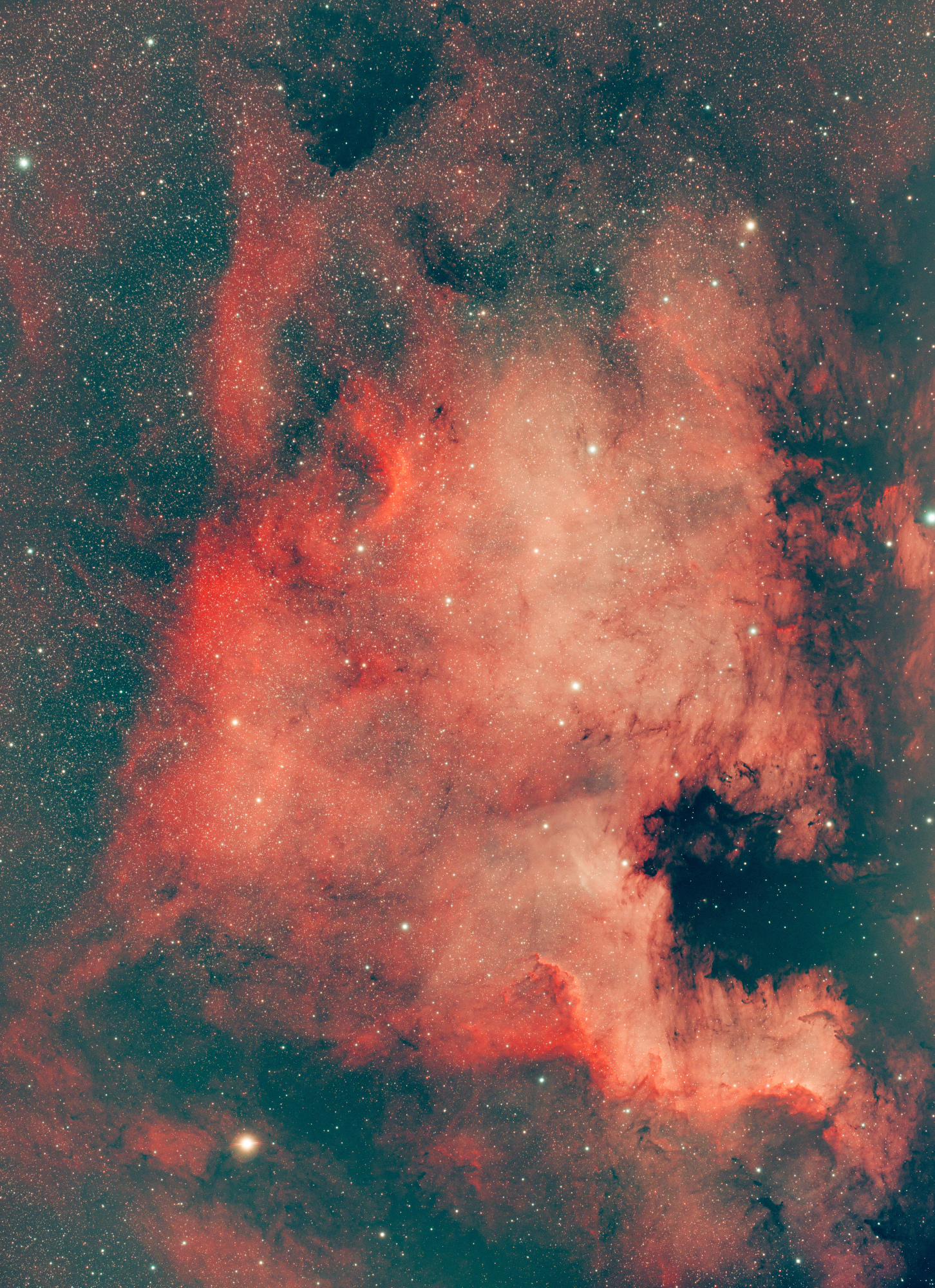 NGC7000_6200_(1_sur_1).jpg