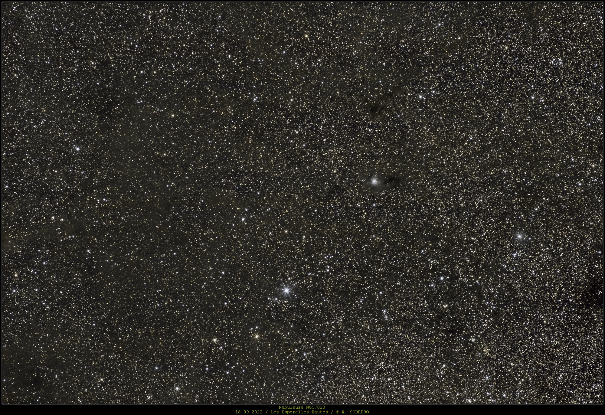 NGC7023_18-09-2022_ESPERELLES_SIRIL_v2_gimp_niveaux_DNAI_signee.thumb.jpg.a6a97556ffe300272e4285ec6559ad1f.jpg