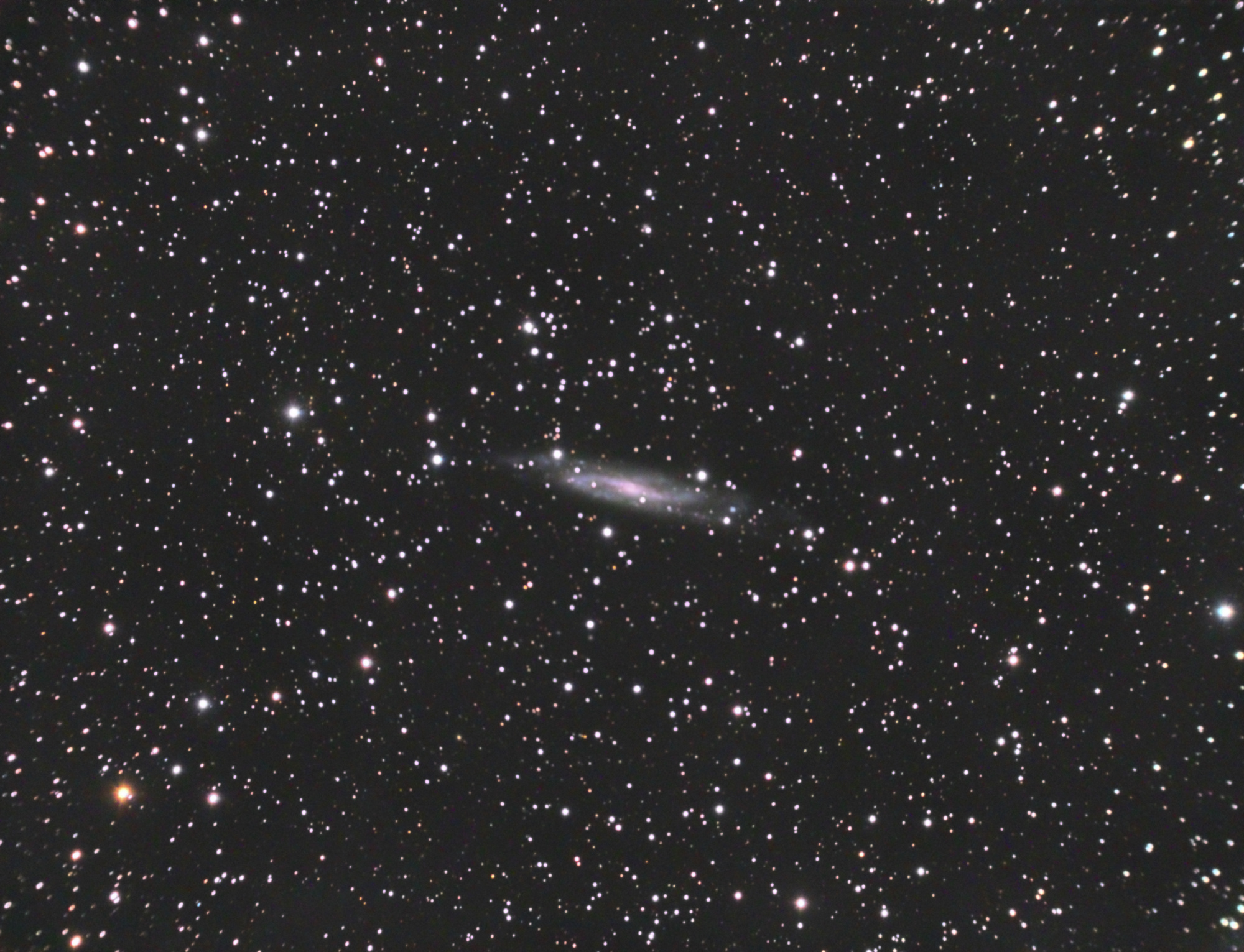 NGC7640-C8-LRGB-Siril-Pix-PS.thumb.jpg.7206741061563d59b2e56345adeddcce.jpg