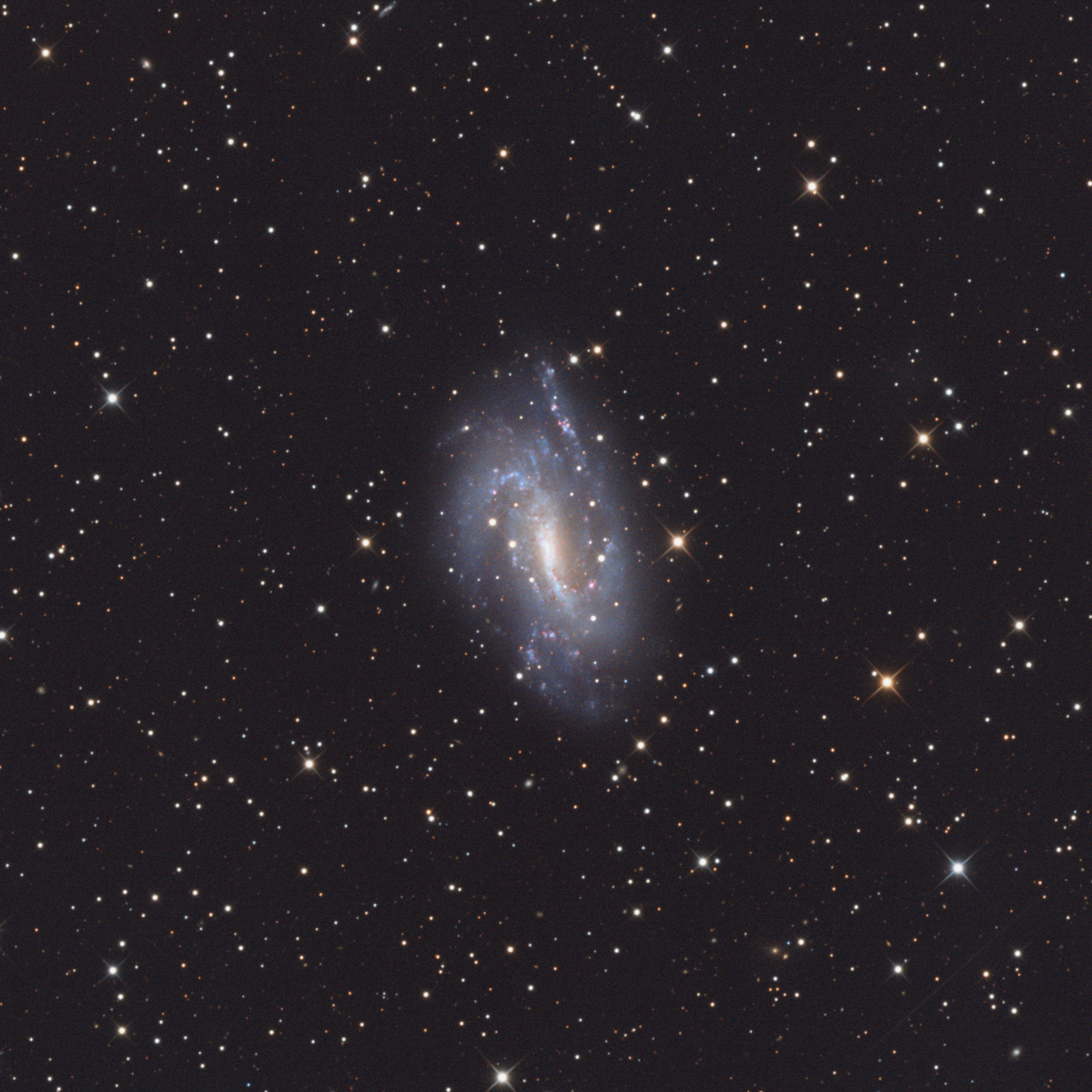 NGC925.thumb.jpg.9be8f886034722d329ab9ae32921b01e.jpg