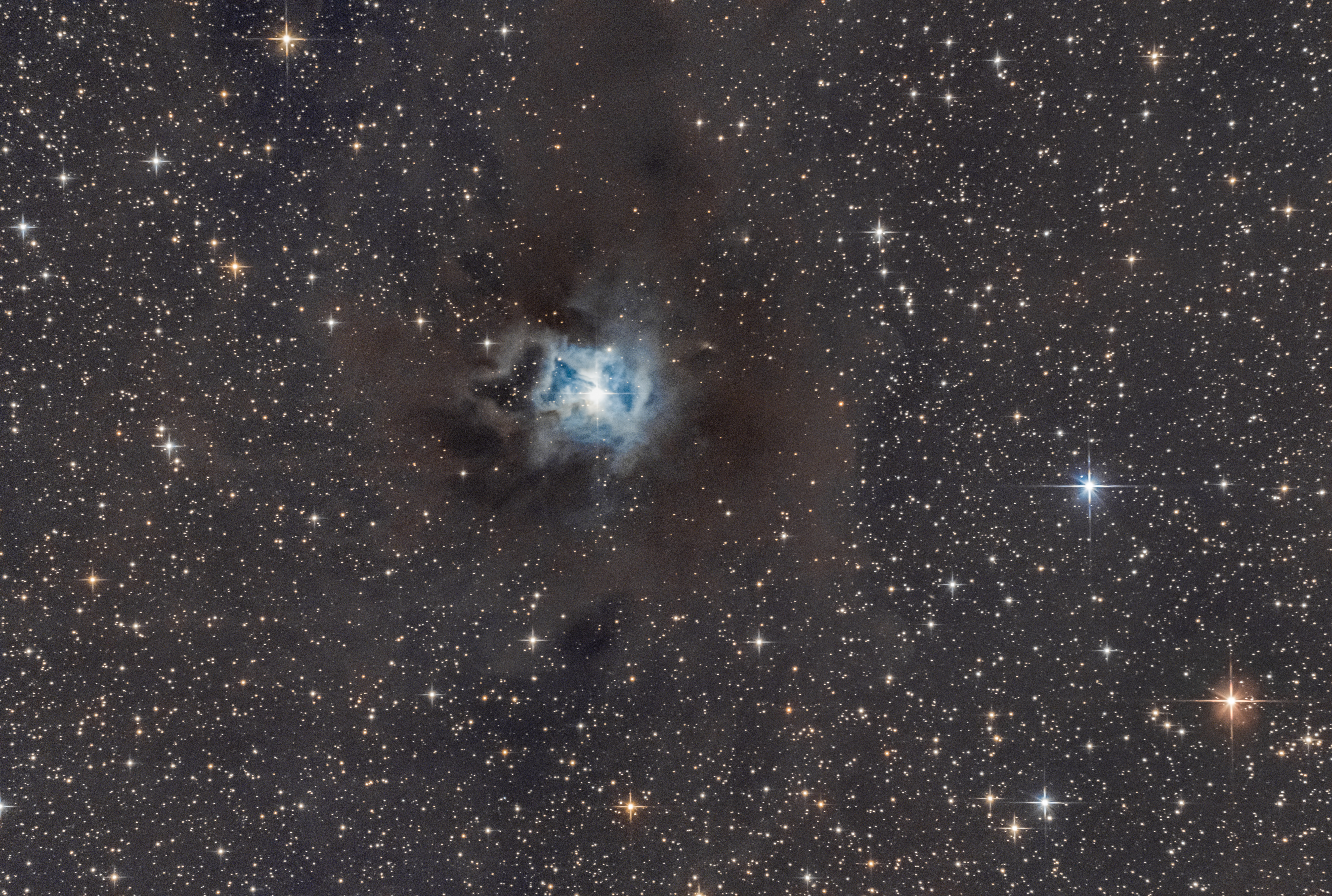 NGC 7023 L'IRIS
