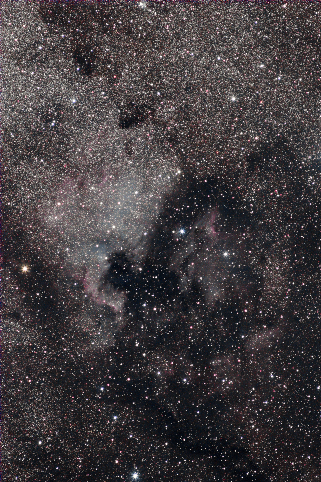 r_proc_NGC7000_Tele200mm_03min_Stud_Rot90_photom_Green_Asinh_Histo_6Arcsec_Pixel_comp.thumb.jpg.aeda1af24377cc588406bcd5fb8d7568.jpg