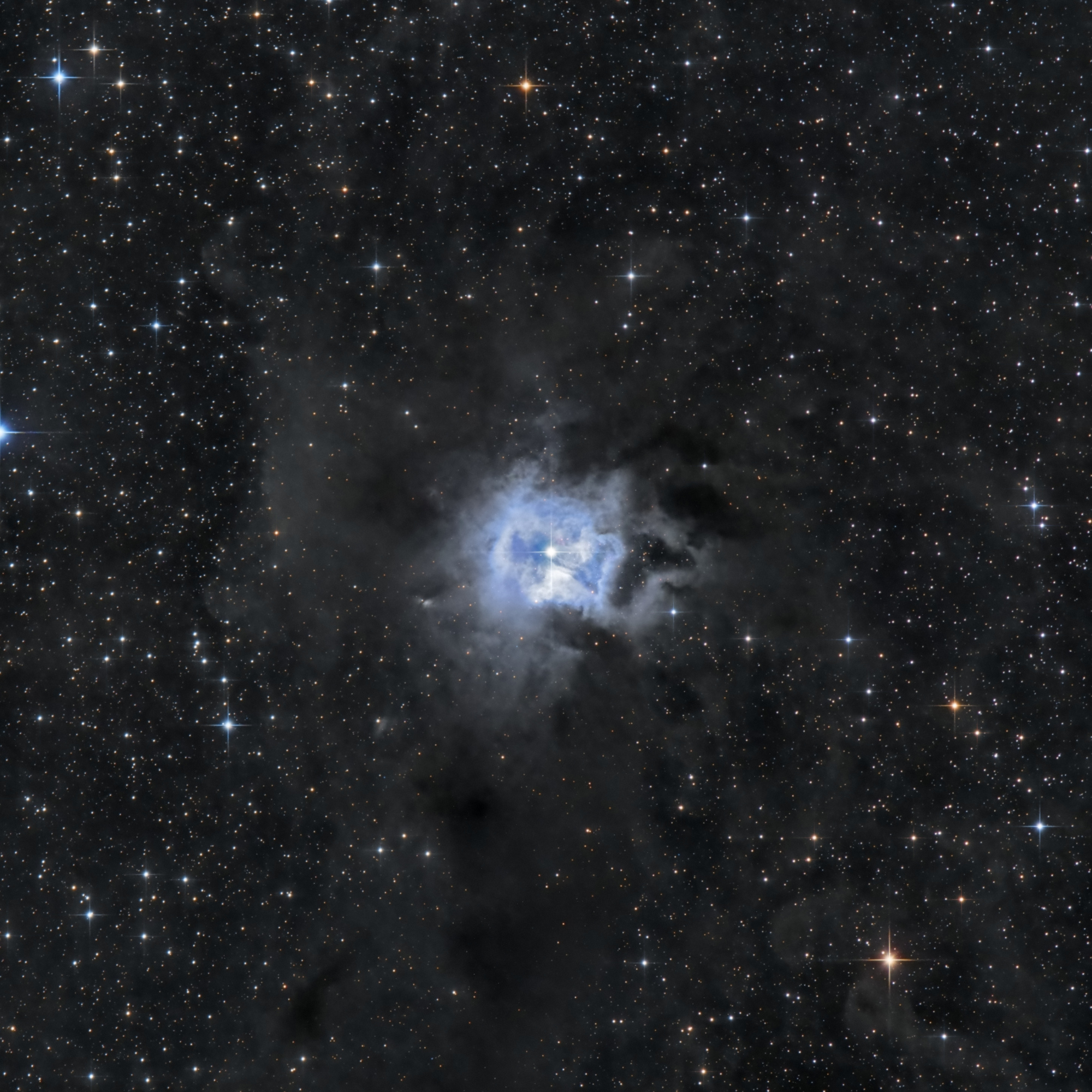 63387cad447ba_NGC7023CepLRVBbis.thumb.jpg.f77f766ebcb9f87680b2d92e912f43b0.jpg