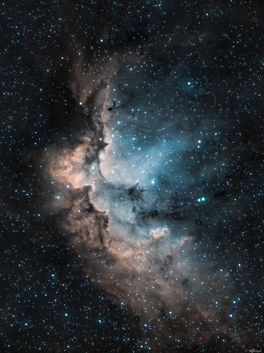 6339c0c99581e_NGC7380NbuleuseduSorcier-Web-2.jpg.4fd936c66abe55b67cac01edc334a160.jpg