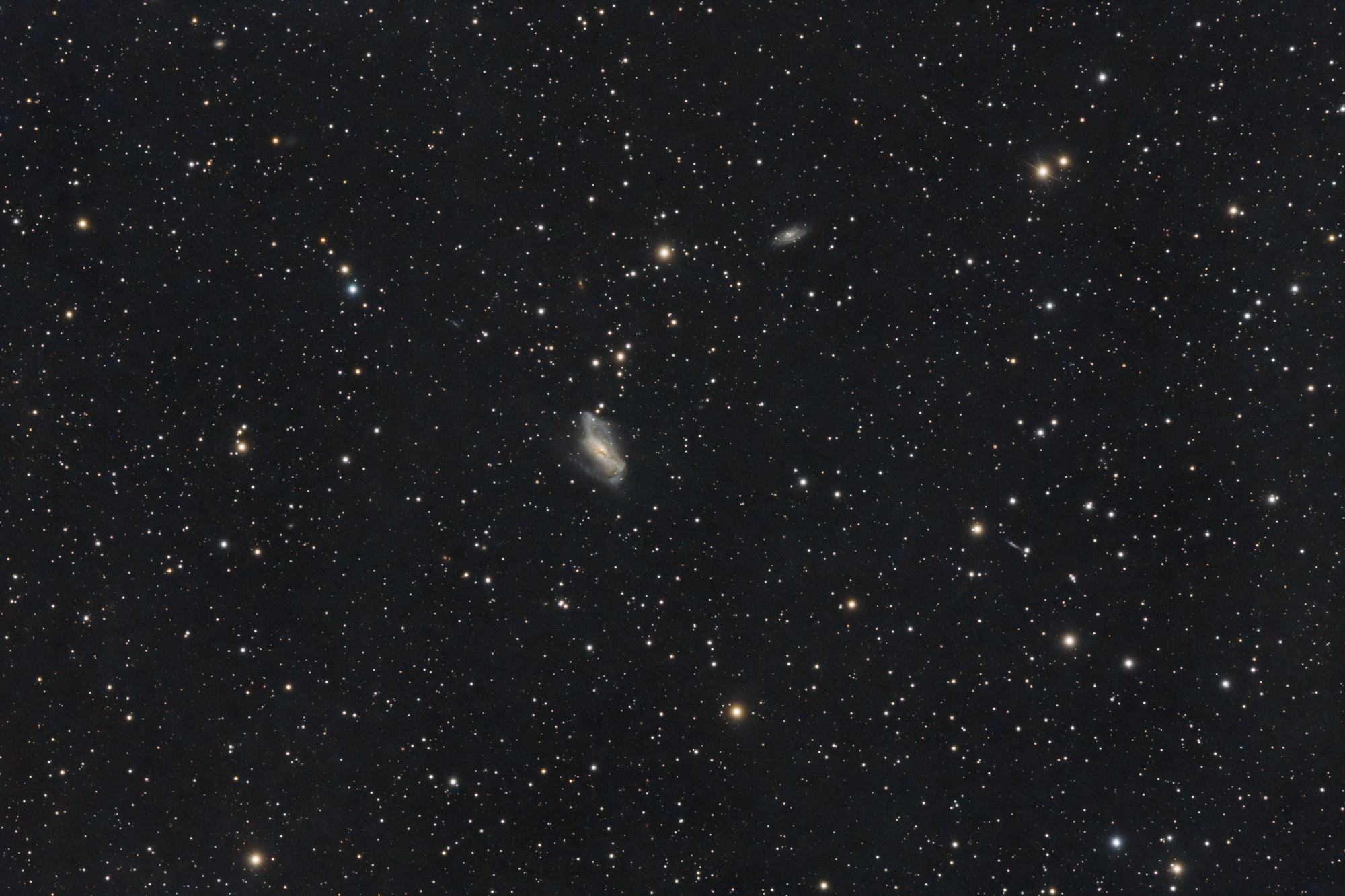 NGC 2146_SIRIL-iris-cs5-3-FINAL-5b.jpg
