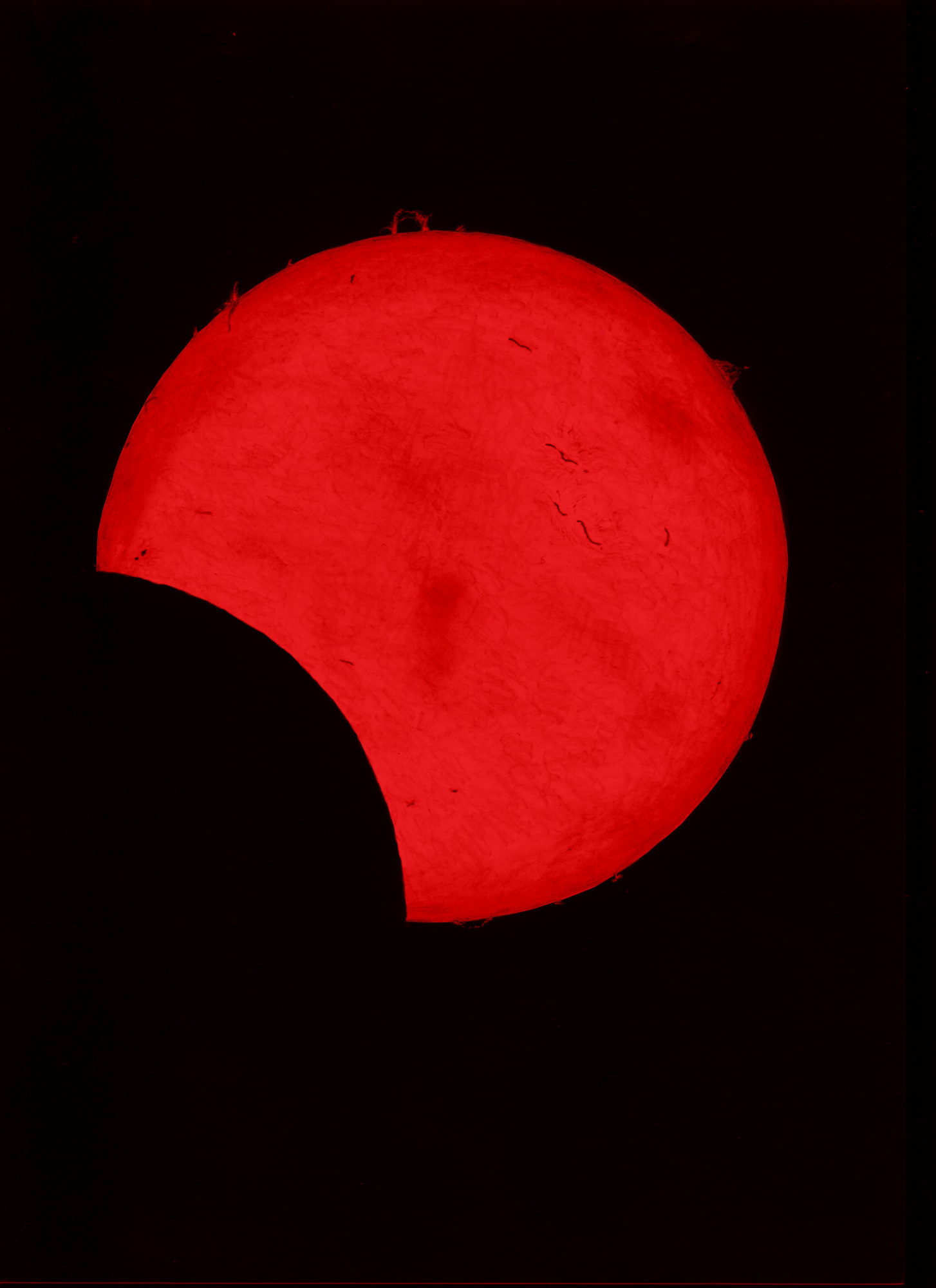 Eclipse 24 10 22 008.jpg