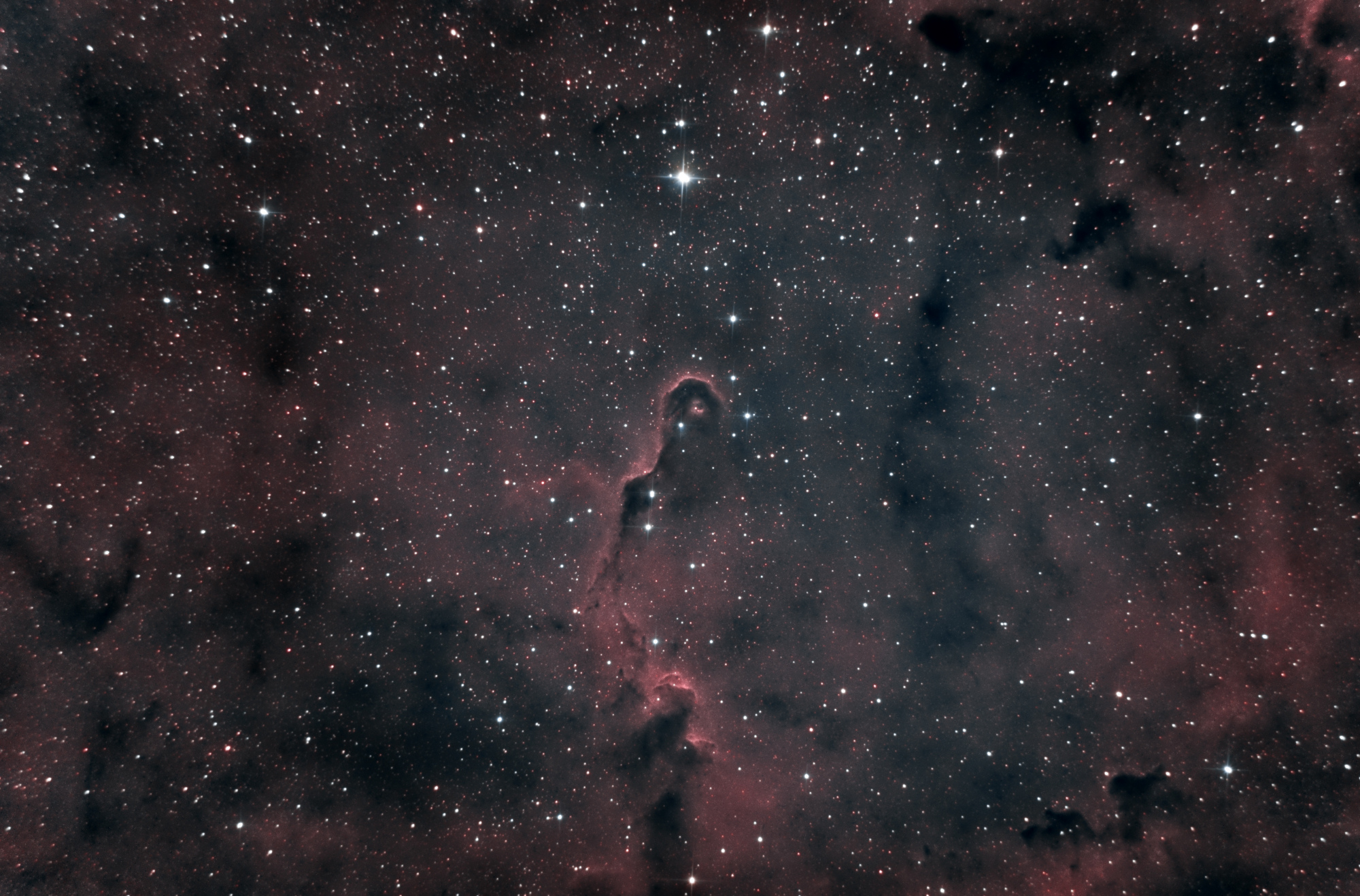 NGC-1396-2_(1).thumb.jpg.fe018cc78e968c5a9733a4598d7d715a.jpg