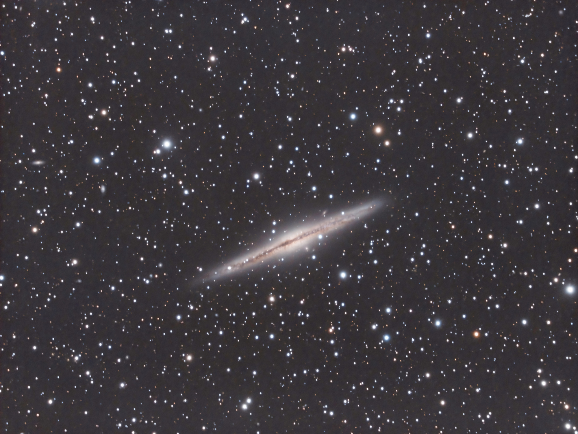 NGC891_20221029_GORBIO_SIRIL_GIMP_NIVEAUX_DNAI_CS2_CROP_REDUCTION-TAILLE.thumb.jpg.f0d32868c129b46dbb2e35aa08031791.jpg