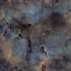 IC1396 - Nébuleuse de la trompe d'éléphant