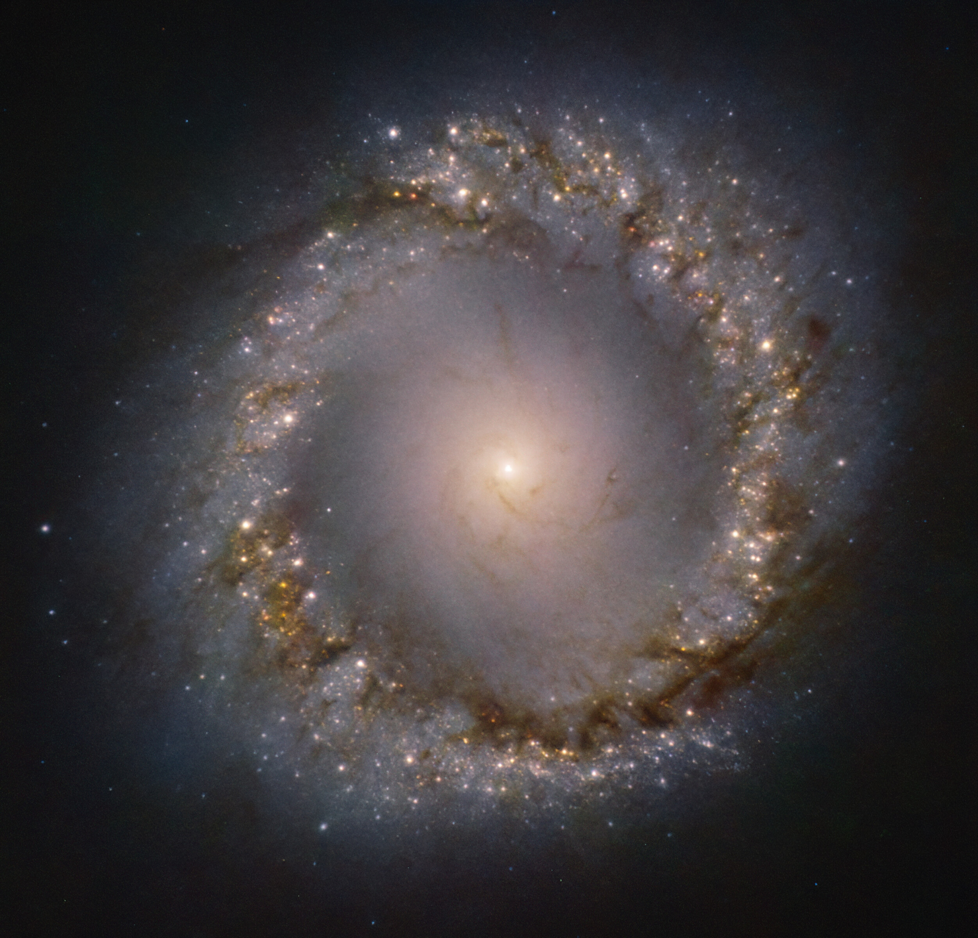 NGC 1097 b.jpg