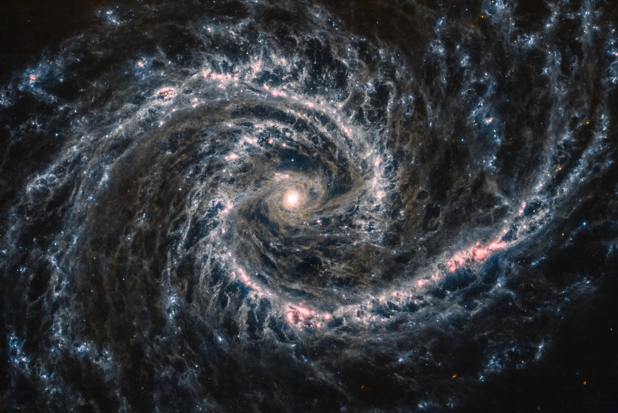NGC 1566.jpg
