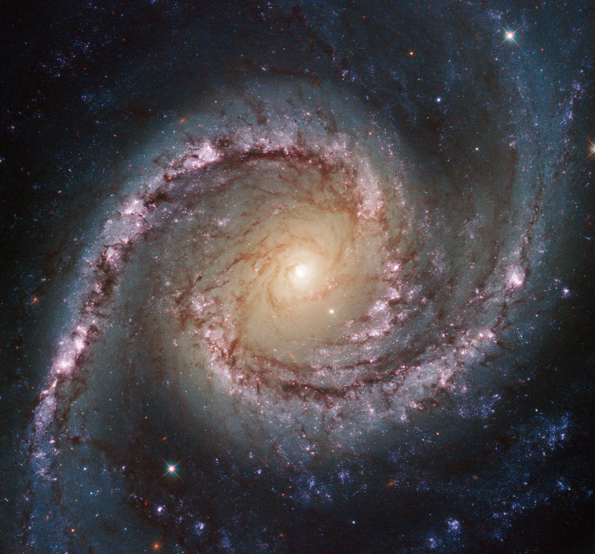 NGC_1566_Hubble.jpg