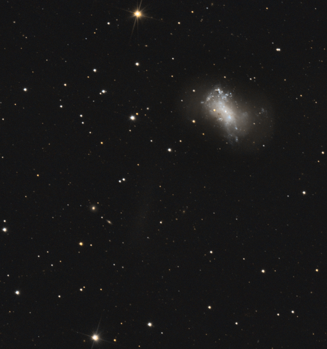 r_proc_NGC4449_115poses_Stud_miror_grad_photom_Green_Asinh_HGS_Crop_NGC4449.jpg.9ad2320b134c1d6e07164d1eaec28151.jpg