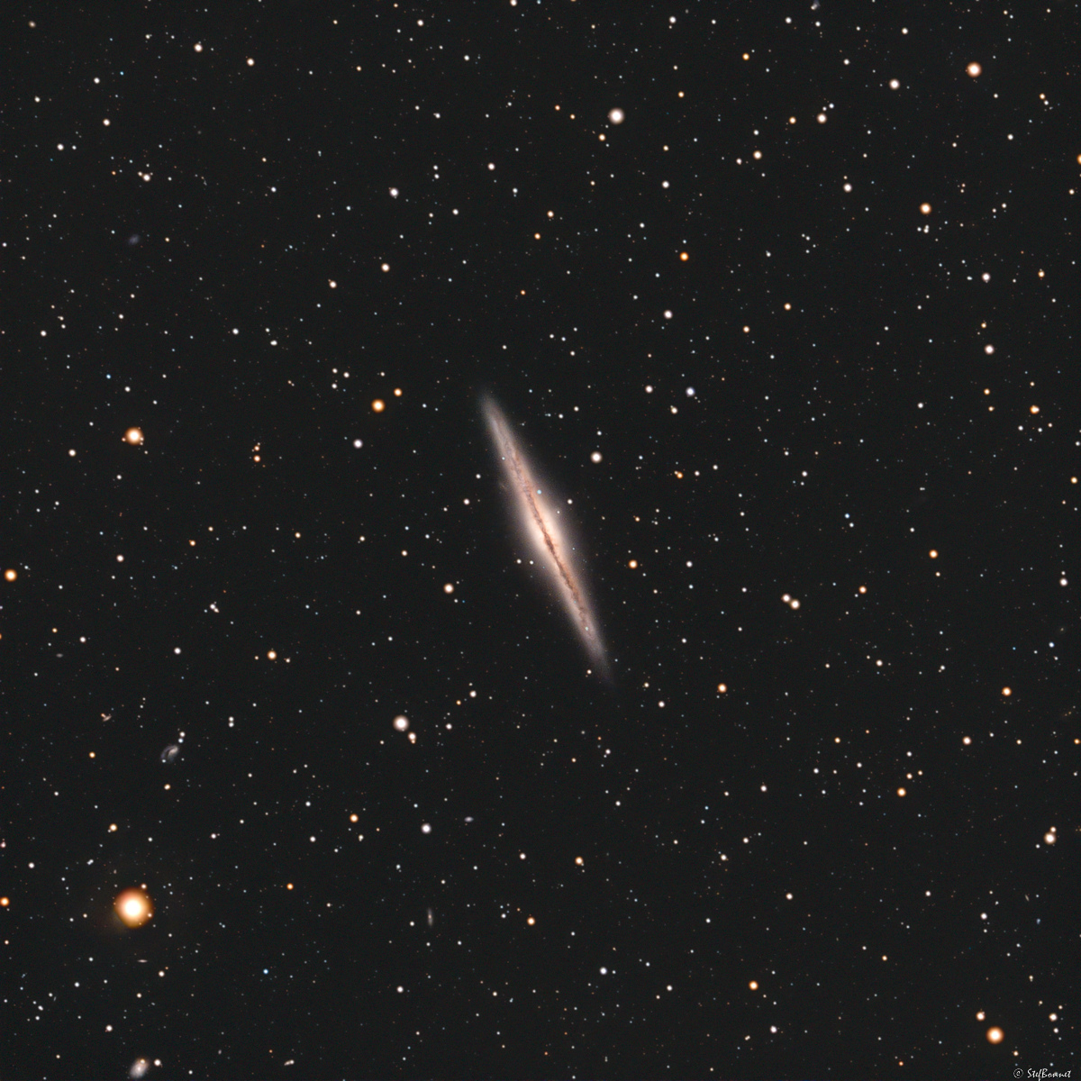 638ceccd590e1_NGC891-Web2.jpg.9765edb685133cff575d946f9a2028da.jpg